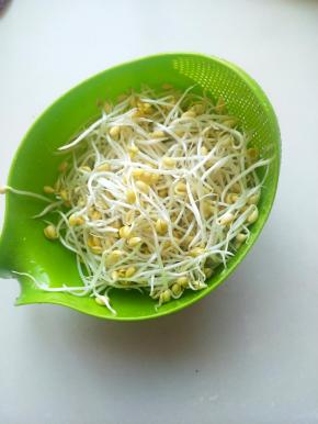 黄豆芽清洗干净控干水分