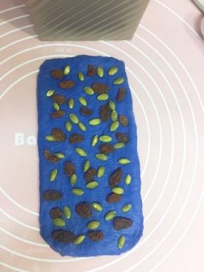 取蓝色小面团擀成略窄于吐司盒的长方形 撒上提子干和南瓜子 自下而上卷起 捏紧收口