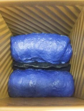 将黑色面团放在两个蓝色面团中间 那个尖尖部分朝上 进行二发 发至九分满 盖盖子 放入预热好170度的烤箱 烤40分钟