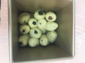 将切口朝下 随意摆放进吐司盒 不要整齐排列。第二次发酵 发至九分满盖盖子 送进预热好180度的烤箱 烤30分钟