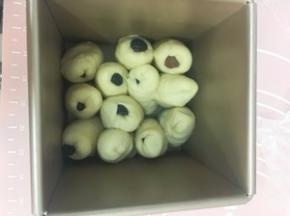 将切口朝下 随意摆放进吐司盒 不要整齐排列。第二次发酵 发至九分满盖盖子 送进预热好180度的烤箱 烤30分钟