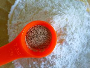 最后加入奶粉和酵母混合揉成面团