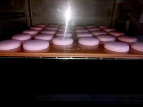 晾好的马卡龙用手指轻轻触摸不会粘手就好了，放进烤箱160度上下火15分钟即可。