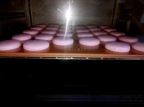 晾好的马卡龙用手指轻轻触摸不会粘手就好了，放进烤箱160度上下火15分钟即可。