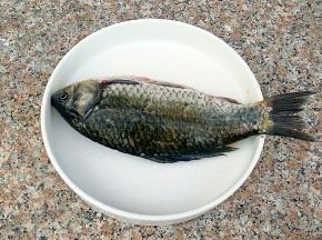 把鲫鱼处理好，把水分沥干。