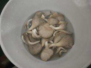 平菇、香菇浸泡清洗干净。