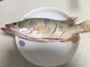 将桂鱼洗净用刀在背上斜切3刀