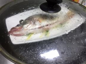 盖上盖子蒸至8-10分钟（根据鱼的大小来定）