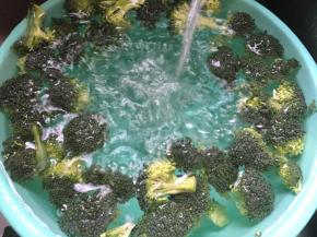 西兰花摘小朵盐水泡20分钟后流动水冲洗干净