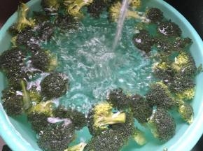 西兰花摘小朵盐水泡20分钟后流动水冲洗干净
