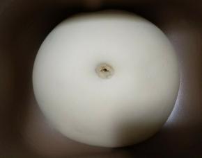 发至二倍大小，手沾面粉戳个洞不回缩不塌陷即可。