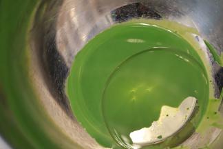 加入玉米油，搅拌至乳化