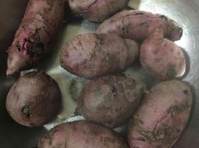 紫薯洗净放进电压力锅中按蹄筋健，煮熟后捞出沥干水份备用！