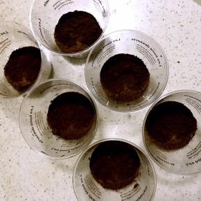 4.杯子底部铺一层奥利奥饼干碎