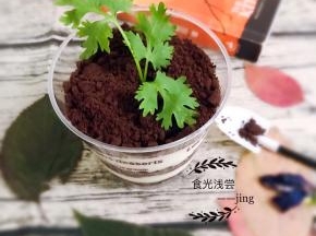 8.然后上面装饰小植物，比如薄荷叶，或者芹菜叶等，是不是很像一个小盆栽…