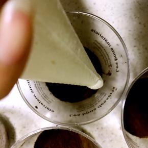 5.将打发好的奶油装入裱花袋，