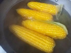将玉米煮熟