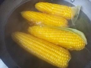 将玉米煮熟