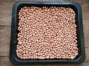 将花生仁平铺在看盘里，尽量不要重叠堆放