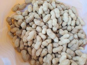 准备生的带壳花生，这是婆婆自己种的