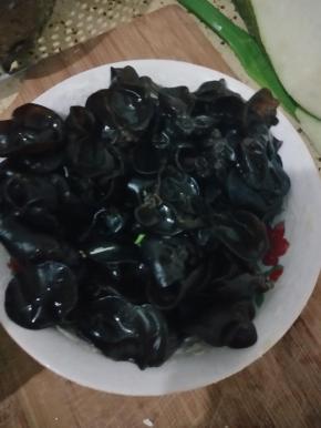 黑木耳要泡发并用开水烫一下