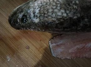 黑鱼清理干净去头去尾去皮