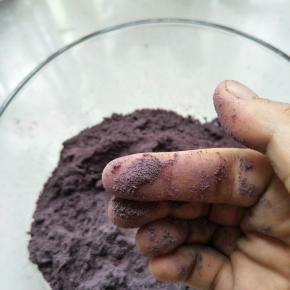 用破壁机研磨成粉，过筛备用