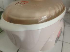 放进电炖锅里，炖1.5个小时