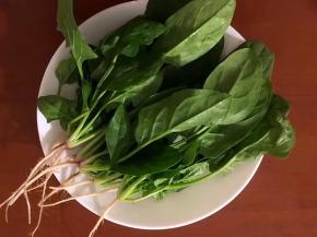 将菠菜用冷水浸泡一会，在清洗干净