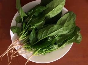 将菠菜用冷水浸泡一会，在清洗干净
