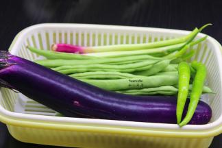 准备食材：茄子，四季豆、青辣椒、干辣椒、红头葱等；