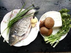 准备材料！一条鲫鱼杀好，清洗干净！葱洗好，姜切好！