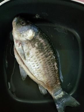 等一面煎至金黄换另一面煎！