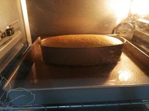 倒入乳酪模具中轻震模具震出大气泡，放入装有冷水的烤盘中 放入预热好的烤箱中水浴法150℃30分钟 125℃30分钟