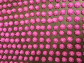 烤好的火龙果溶豆