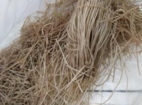 粉丝用温水泡一下