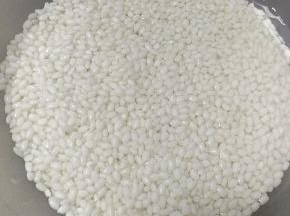糯米提前一天泡发
