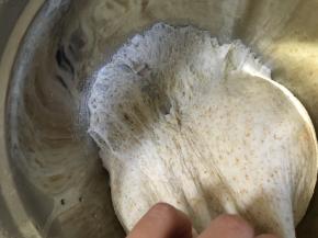 盖上湿毛巾进行发酵，可以放入烤箱内用发酵档发酵，烤箱内放一杯睡保持湿度，发酵1小时后面团到原来的2-2.5倍大小，取出发酵好的面团，有两种检查方式，一是拉一下面团，有蜂窝状的孔；二是可以用手指沾一点面粉戳一下面团，孔不会回缩即可。