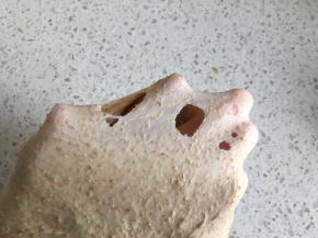 揉到面团可以拉出会破的稍微薄的膜即可