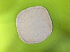 取出发酵好的面团，在揉面垫上擀扁排出气体，盖上保鲜膜醒发10分钟