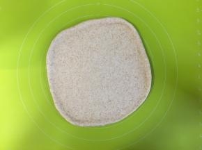 取出发酵好的面团，在揉面垫上擀扁排出气体，盖上保鲜膜醒发10分钟