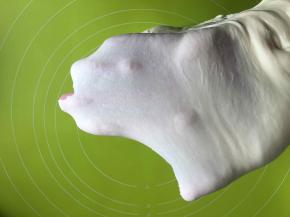 揉到可以拉出很薄的膜，即使会破，也是边沿光滑的孔