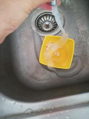 羊肠衣套在水龙头上，冲洗。