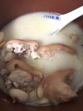 然后转入紫砂锅内，用营养汤功能，炖3小时