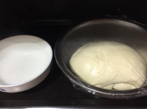 放入烤箱，旁边放一碗热水，按发酵健！(也可以直接放在烤箱里，关上烤箱门，不用插电，让它室温发酵！不过时间有点儿长哦！)