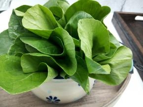小青菜适量