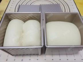 发至模具约8分满取出，盖上盖子