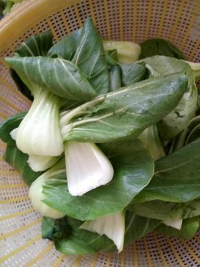 青菜洗净