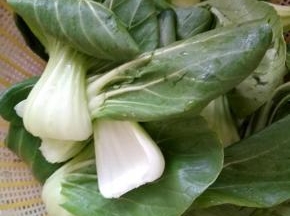 青菜洗净