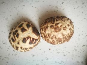 质量好的干花菇